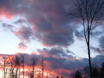 Silhouette of bare tree against dramatic sky