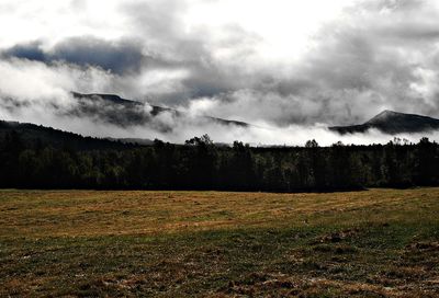 Scenic view of field against sky