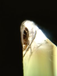 Close-up of light bulb against black background