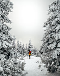 Man standing on snow amidst trees during winter