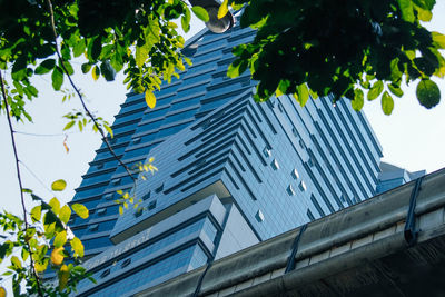 Low angle view of tree against built structure