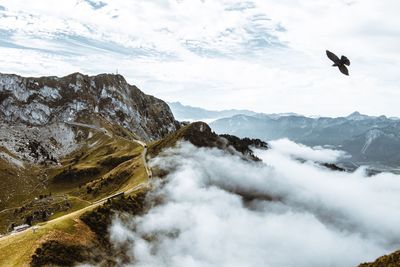 Bird flying over mountain against sky