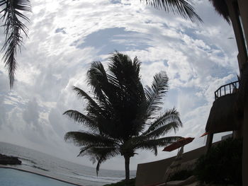 Low angle view of palm trees against cloudy sky