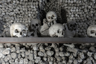 High angle view of human skulls on stones