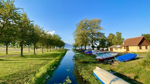 Canal in yverdon-les-bains amidst trees and buildings against blue sky