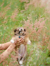 Young woman holding a flower in a field