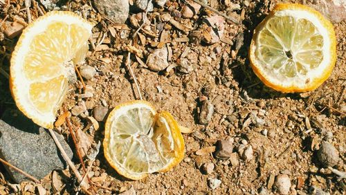 Close-up of lemon