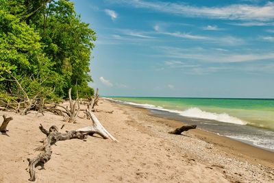 Scenic view of beach against sky