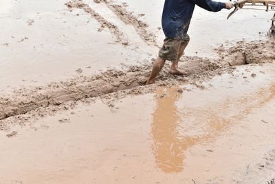 Low section of man working on beach