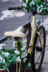 Flower bike on the side of the road in paris