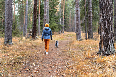 Rear view of woman walking on autumn forest path with fluffy gray dog, walking dog in fall pets