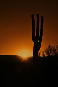 Silhouette tree against sky during sunset