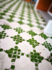 Close-up of snow on table