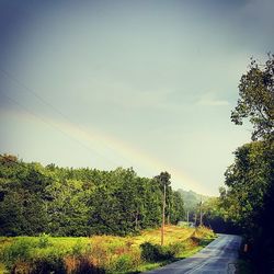 Country road along trees