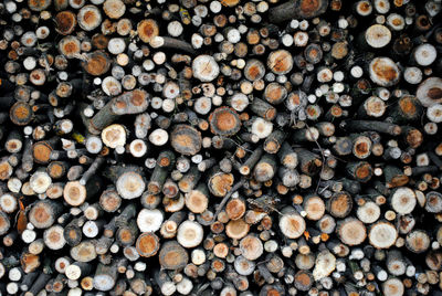 Full frame of firewood