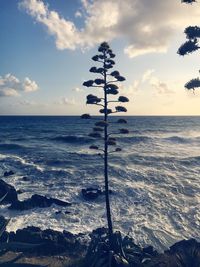 Scenic view of sea against sky during sunset