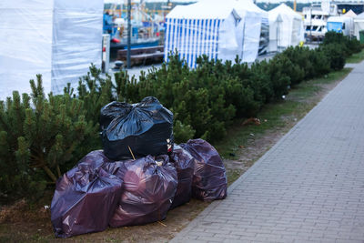 Rear view of man relaxing on footpath in city