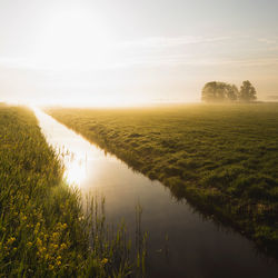 Scenic view of field against sky