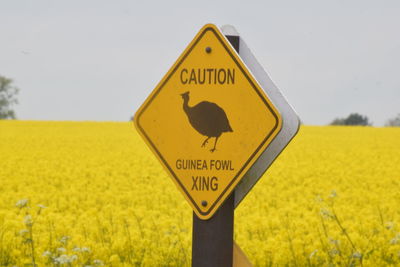 Close-up of road sign on field