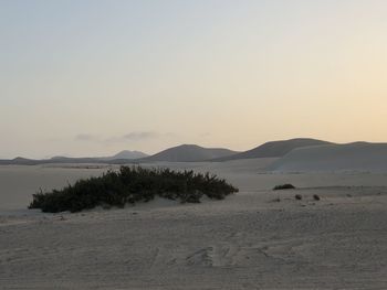 Scenic view of desert against sky during sunset