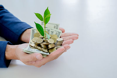 Cropped image of businessman holding plant and currency over table