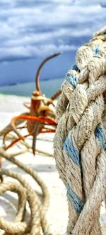 Close-up of rope tied on wood