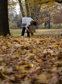 Woman picking autumn leaves at park