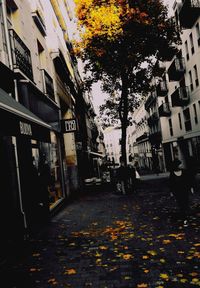 Street amidst trees and buildings in city during autumn