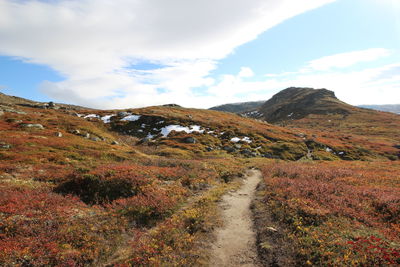 Scenic view of landscape and mountains against sky