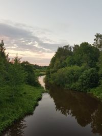 Scenic view of river amidst trees against sky