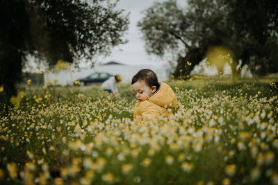 Rear view of boy on flower meadow