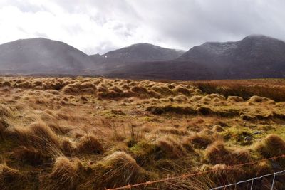 Scenic view of landscape against cloudy sky