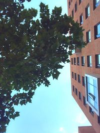 Low angle view of building with trees in background