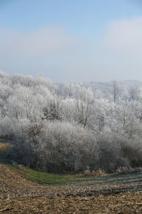 Scenic view of landscape against sky during winter