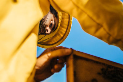 Low angle view of insect on yellow leaf