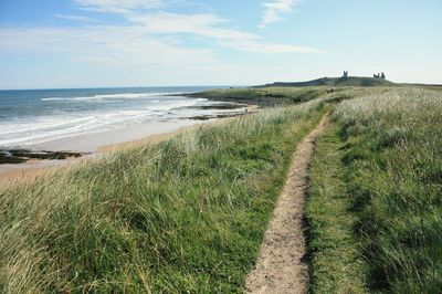 Trail on grassy field by sea against sky