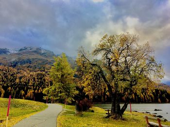 Trees in park against sky during autumn