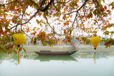 Reflection of trees in lake during autumn