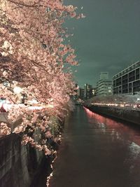 View of road at night