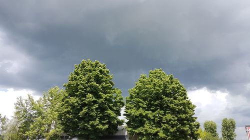 Low angle view of trees against cloudy sky