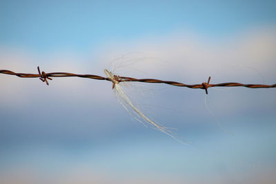 Close-up of barbed wire against sky