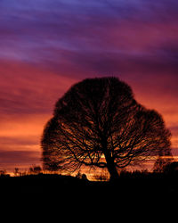 Silhouette trees on field against romantic sky at sunset