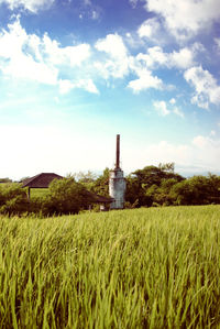 Scenic view of agricultural field against sky