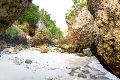 Rock formation amidst trees against sky
