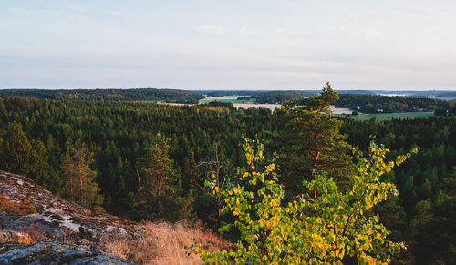 Scenic view of landscape against sky