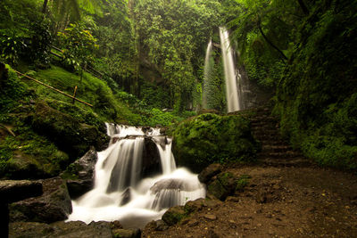 Scenic view of waterfall in forest