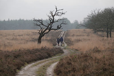 Rear view of man walking on field against sky