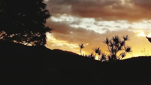 Low angle view of silhouette trees against sky during sunset