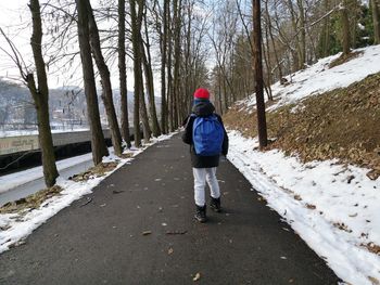 Rear view of man walking on snow