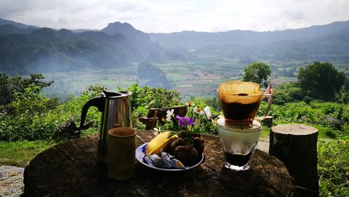 View of tea and trees in mountains
